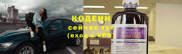 стафф Анжеро-Судженск