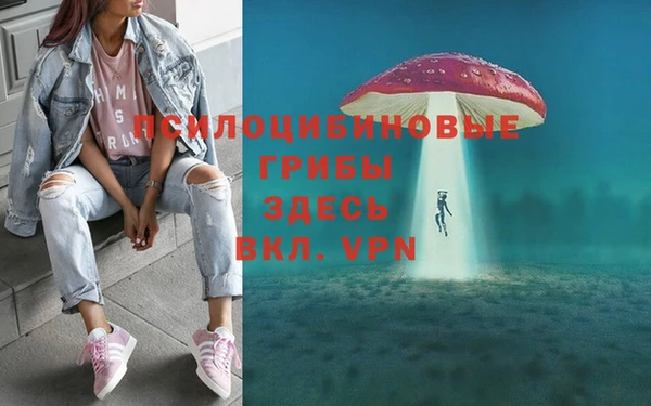 эйфоретик Медвежьегорск