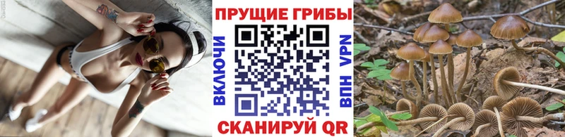 blacksprut ТОР  Чебоксары  Псилоцибиновые грибы мухоморы 
